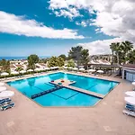 The Olive Tree Hotel 